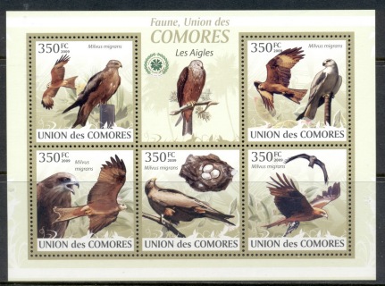 Comoro-Is-2009-Birds_12