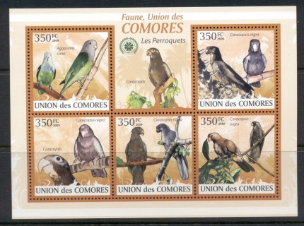 Comoro-Is-2009-Birds_13