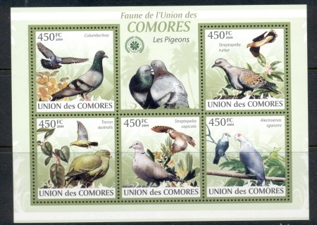 Comoro-Is-2009-Birds_14