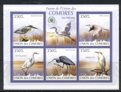 Comoro-Is-2009-Birds_15