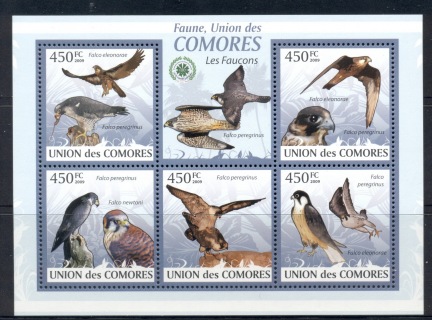 Comoro-Is-2009-Birds_18