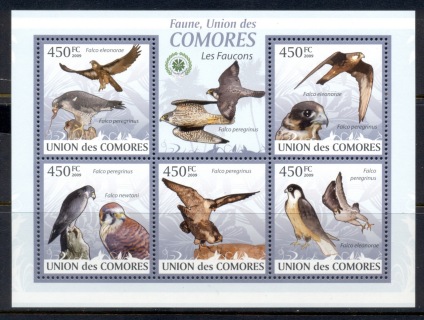 Comoro-Is-2009-Birds_20