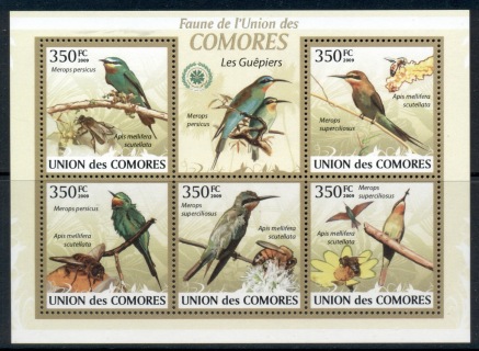 Comoro-Is-2009-Birds_25