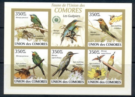 Comoro-Is-2009-Birds_28