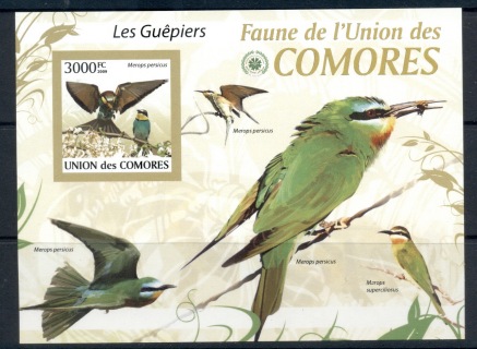 Comoro-Is-2009-Birds_29