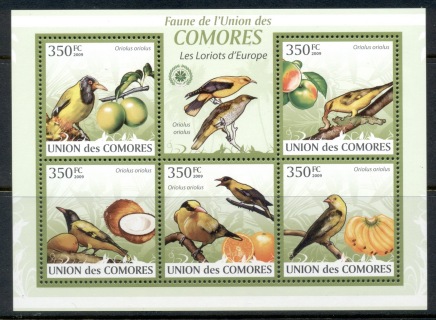 Comoro-Is-2009-Birds_38