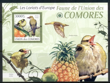 Comoro-Is-2009-Birds_39