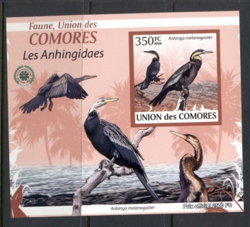 Comoro-Is-2009-Birds_4-2