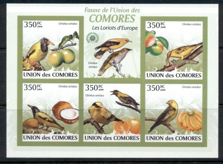 Comoro-Is-2009-Birds_40