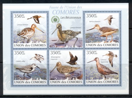 Comoro-Is-2009-Birds_43