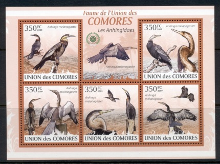 Comoro-Is-2009-Birds_49