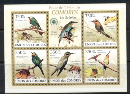 Comoro-Is-2009-Birds_5