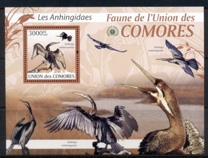 Comoro-Is-2009-Birds_50