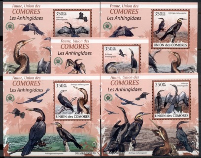 Comoro-Is-2009-Birds_51