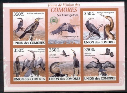 Comoro-Is-2009-Birds_52