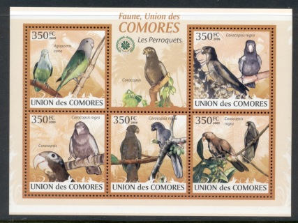 Comoro-Is-2009-Birds_61