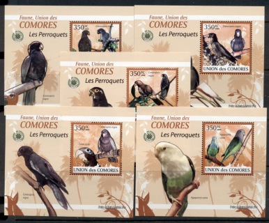 Comoro-Is-2009-Birds_63