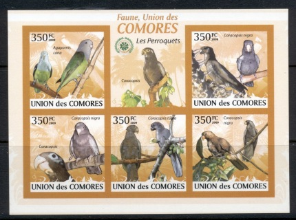 Comoro-Is-2009-Birds_64