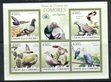 Comoro-Is-2009-Birds_67