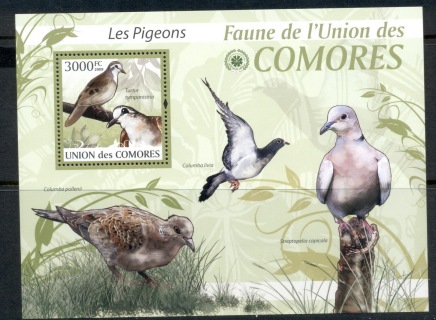 Comoro-Is-2009-Birds_68