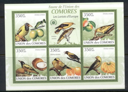 Comoro-Is-2009-Birds_7