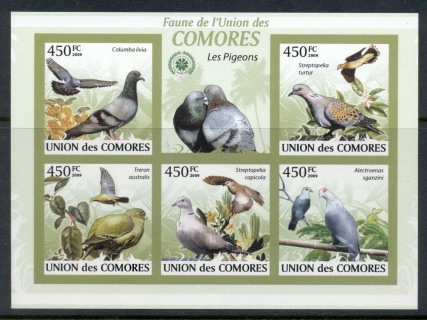 Comoro-Is-2009-Birds_70