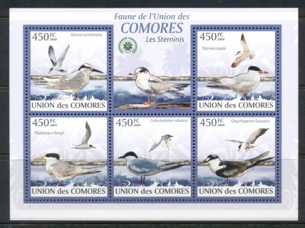 Comoro-Is-2009-Birds_73