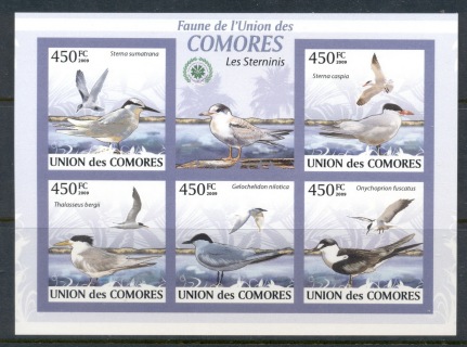 Comoro-Is-2009-Birds_76