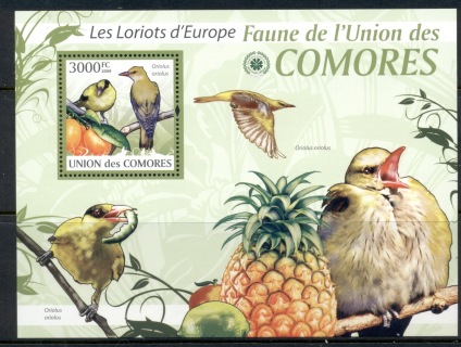 Comoro-Is-2009-Birds_8