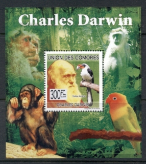 Comoro-Is-2009-Charles-Darwin_4