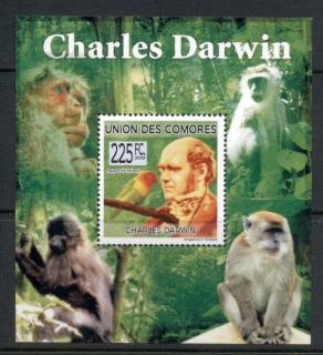 Comoro-Is-2009-Charles-Darwin_5