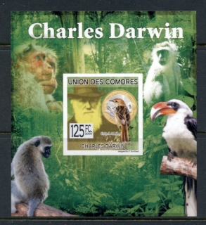 Comoro-Is-2009-Charles-Darwin_6