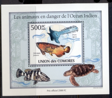 Comoro-Is-2009-Endangered-Animals-in-the-Indian-Ocean