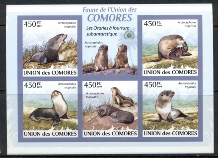 Comoro-Is-2009-Fauna-of-the-Comoro-Is