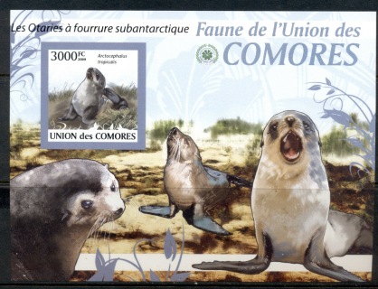 Comoro-Is-2009-Fauna-of-the-Comoro-Is_1