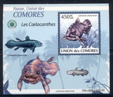 Comoro-Is-2009-Fauna-of-the-Comoro-Is_14