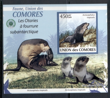 Comoro-Is-2009-Fauna-of-the-Comoro-Is_3