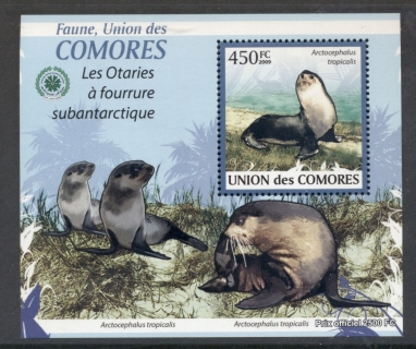 Comoro-Is-2009-Fauna-of-the-Comoro-Is_6