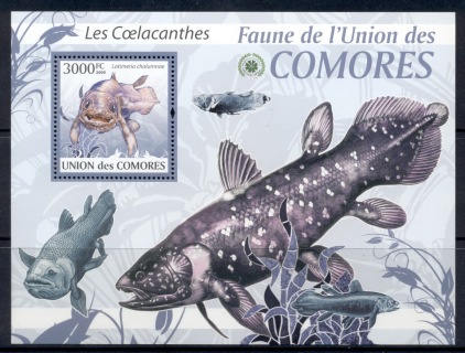 Comoro-Is-2009-Fauna-of-the-Comoro-Is_8