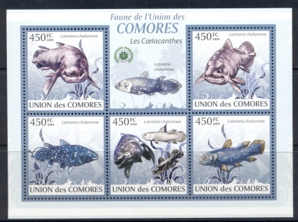 Comoro-Is-2009-Fauna-of-the-Comoro-Is_9