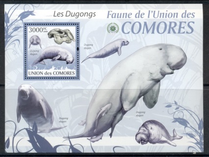 Comoro-Is-2009-Fauna-of-the-Comoros