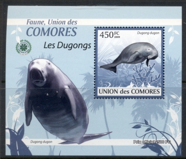 Comoro-Is-2009-Fauna-of-the-Comoros_3