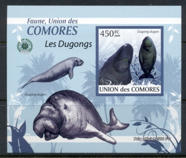 Comoro-Is-2009-Fauna-of-the-Comoros_9