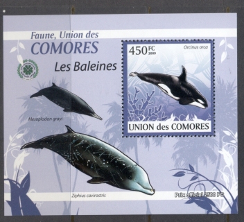 Comoro-Is-2009-Marine-Life_25