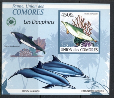 Comoro-Is-2009-Marine-Life_3