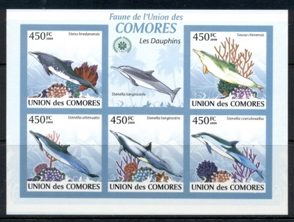 Comoro-Is-2009-Marine-Life_8