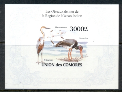 Comoro-Is-2009-Sea-Birds-of-the-Indian-Ocean-MS-IMPERF-MUH_1