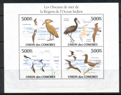 Comoro-Is-2009-Sea-Birds-of-the-Indian-Ocean-MS-MUH