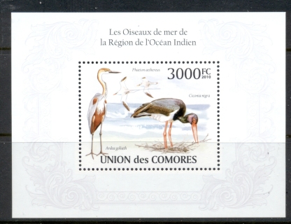 Comoro-Is-2009-Sea-Birds-of-the-Indian-Ocean-MS-MUH_1