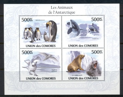 Comoro-Is-2010-Animals-of-the-Antarctic